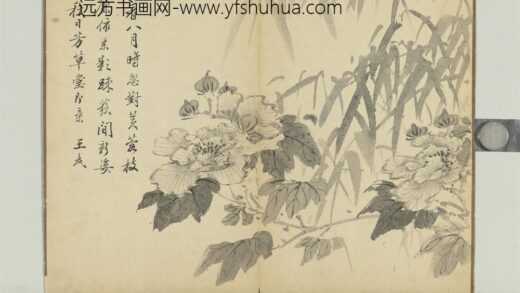 清王武画花卉册竹下木芙蓉.jpg