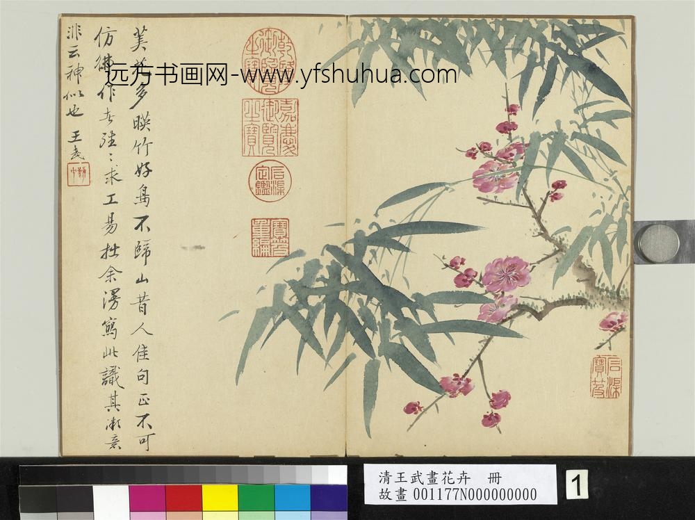 清王武画花卉册竹下红梅