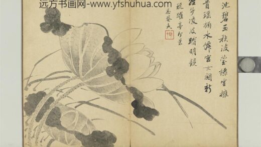 清王武画花卉册荷花.jpg