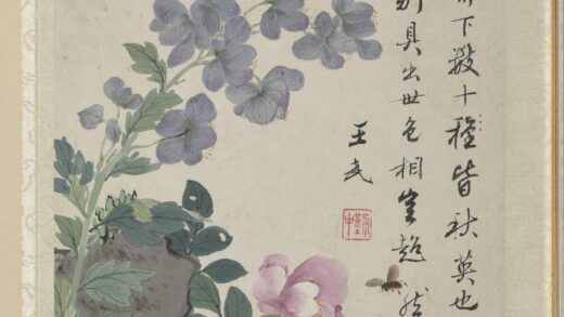 清王武花卉册僧鞋菊月季花.jpg