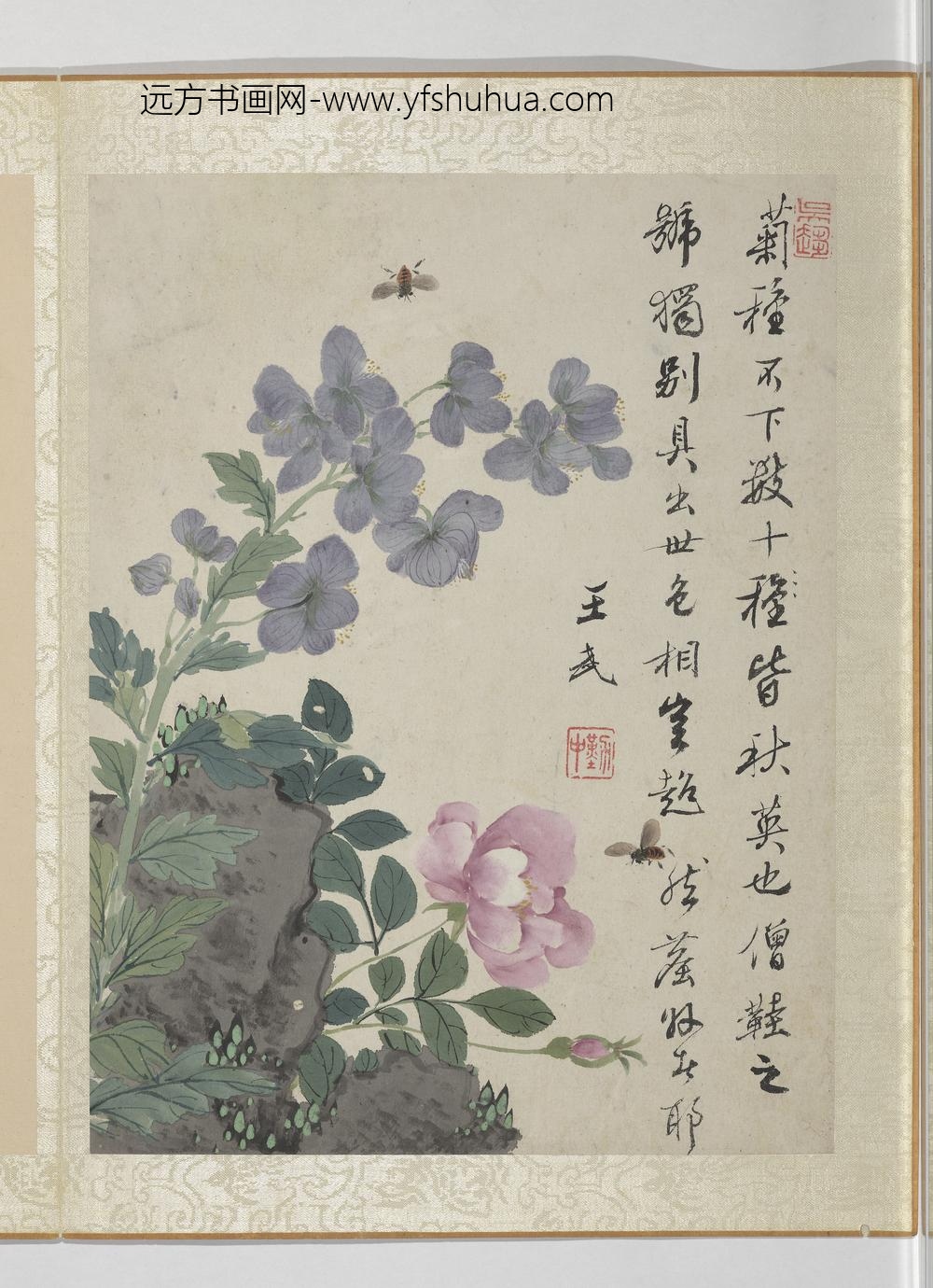 清王武花卉册僧鞋菊月季花