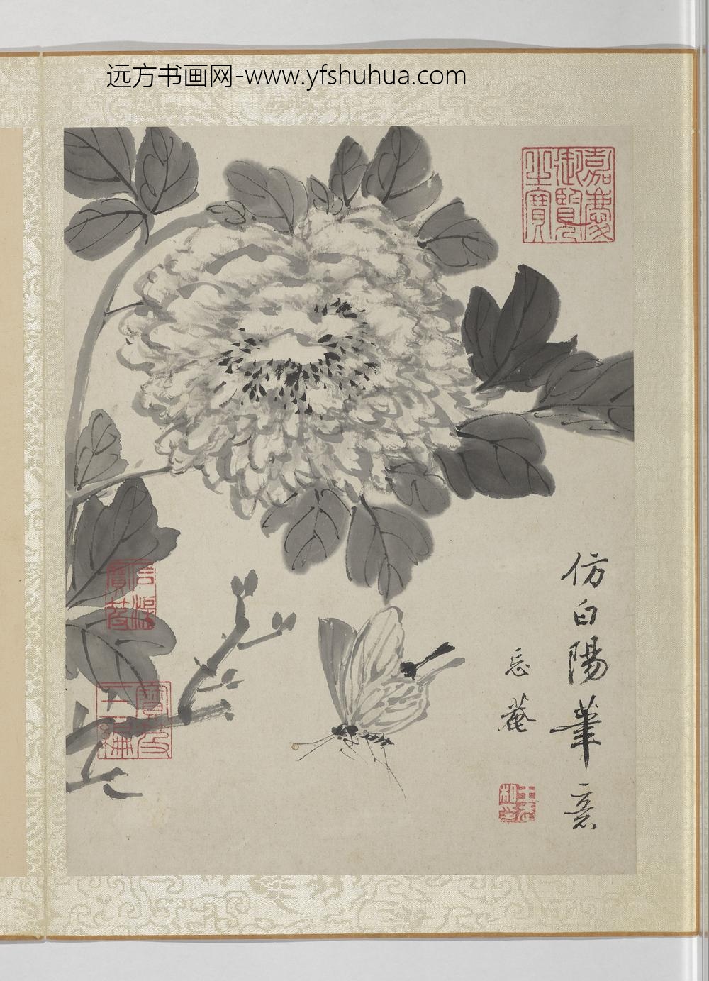 清王武花卉册墨画牡丹