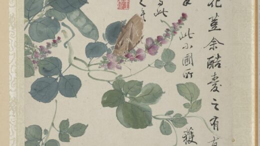 清王武花卉册扁荳花.jpg