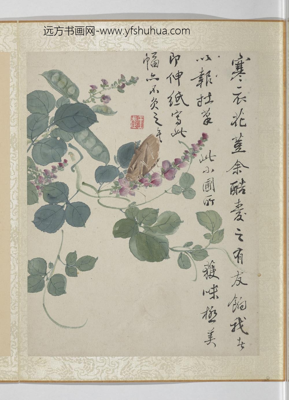 清王武花卉册扁荳花