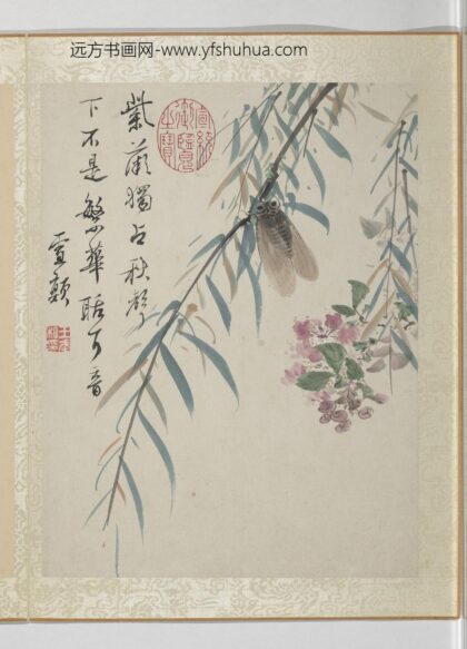 清王武花卉册紫薇杨柳.jpg