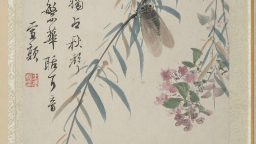 清王武花卉册紫薇杨柳.jpg