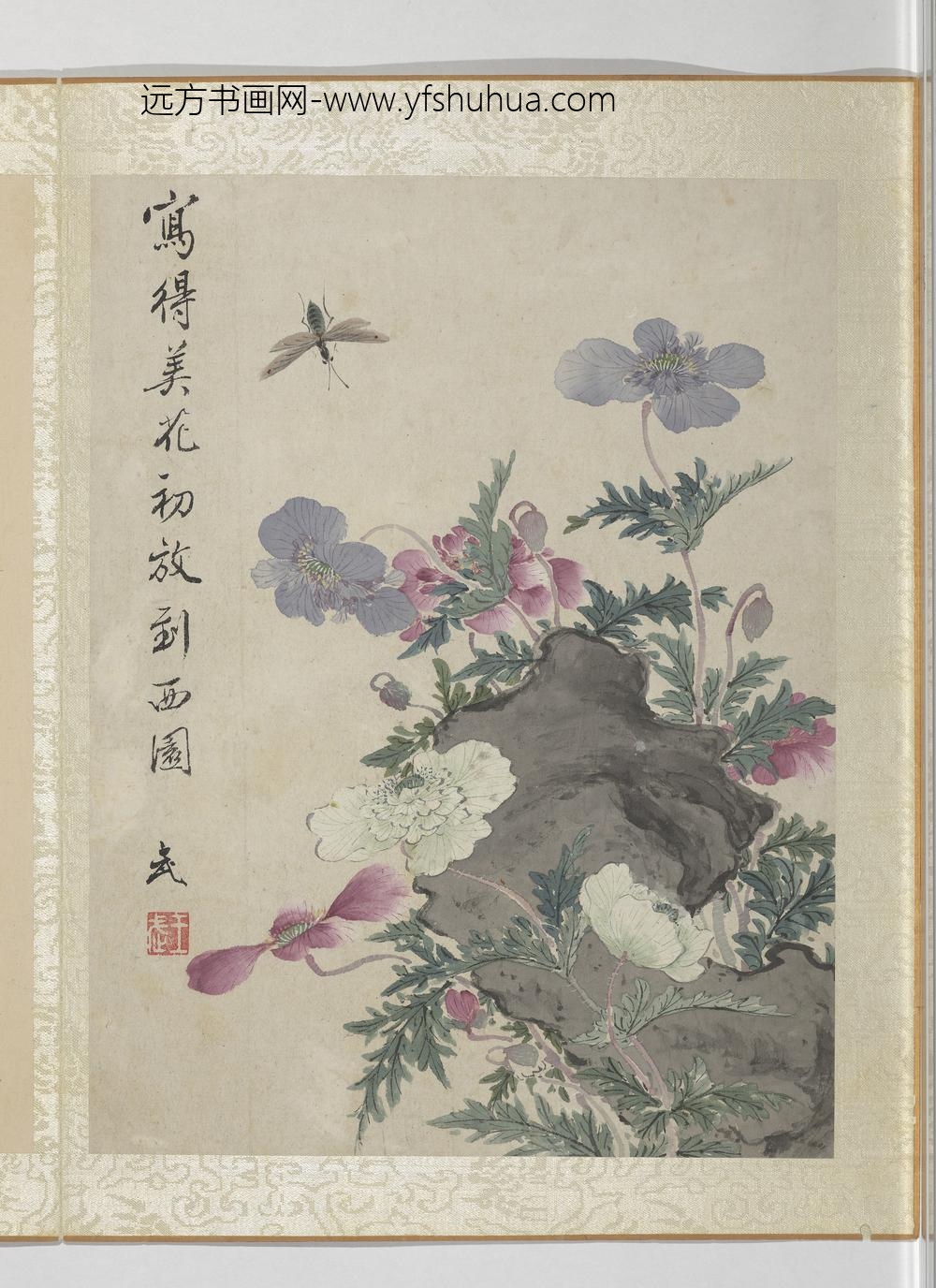 清王武花卉册虞美人
