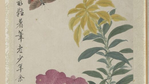 清王武花卉册鸡冠花.jpg