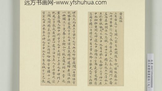 清王澍书积书岩帖（九）册临黄庭经 1.jpg