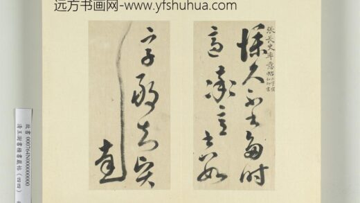 清王澍书积书岩帖（四十四）册临张旭率意帖 1.jpg