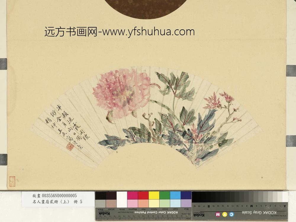 牡丹图-名人画扇贰册(上)册