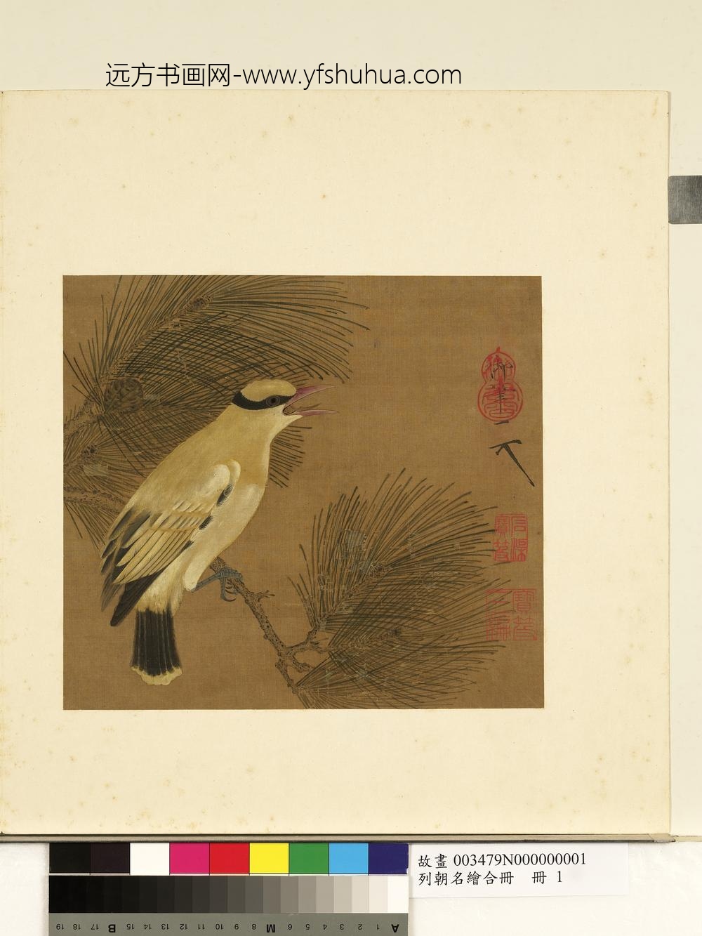 列朝名绘合册宋徽宗松枝黄鹂