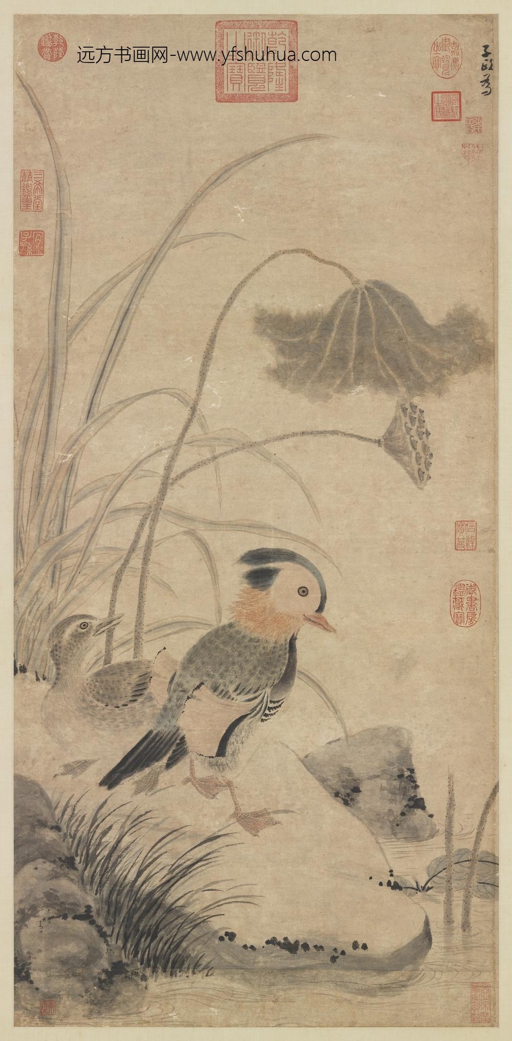 元张中枯荷鸂鶒轴