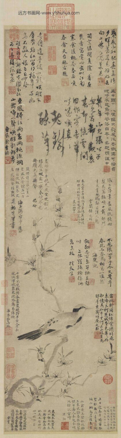 元张中桃花幽鸟轴.jpg
