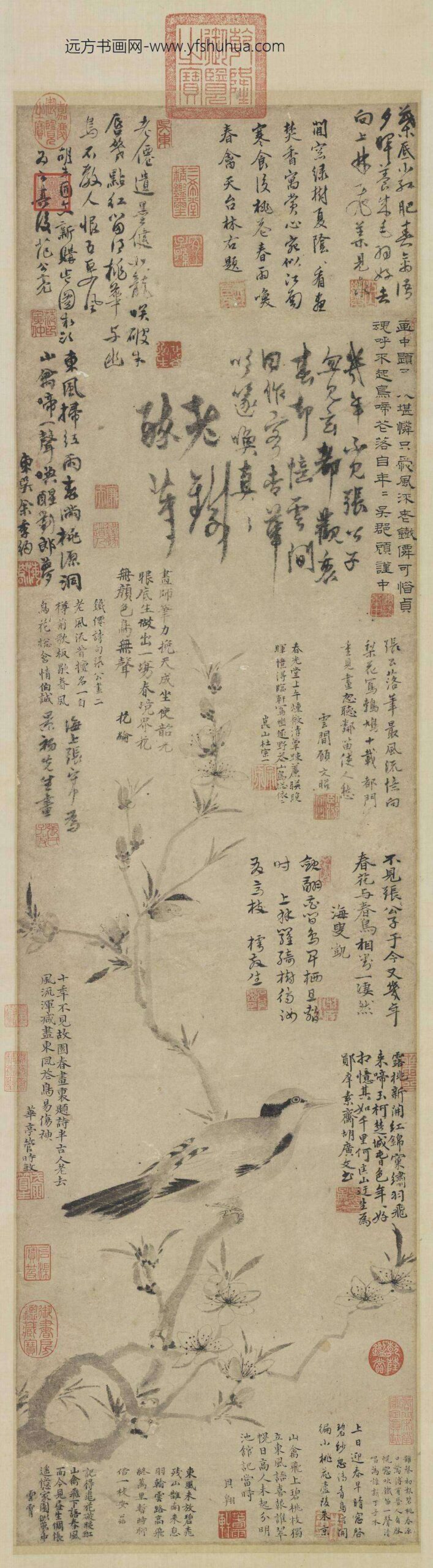 元张中桃花幽鸟轴