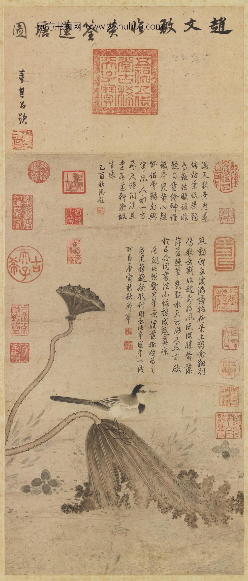 元赵孟俯临黄筌莲塘图轴