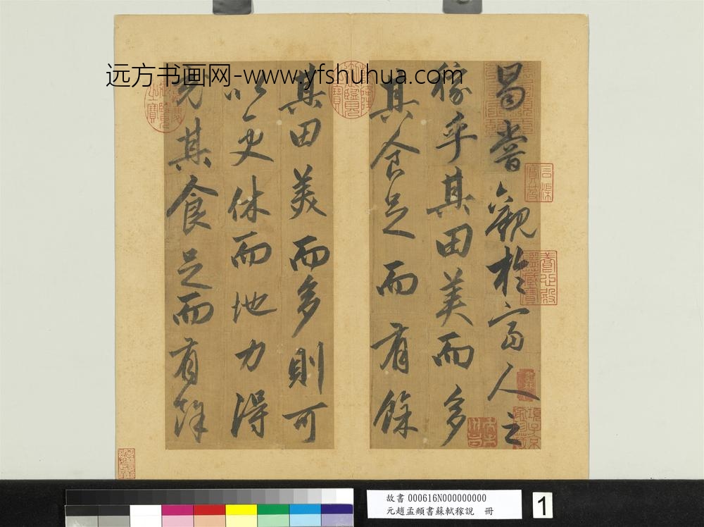 元赵孟俯书苏轼稼说册-