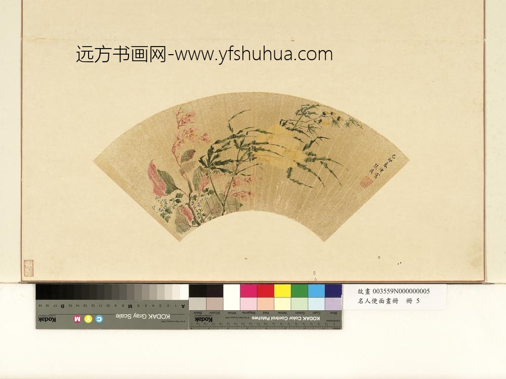 名人便面画册明张复秋葵海棠