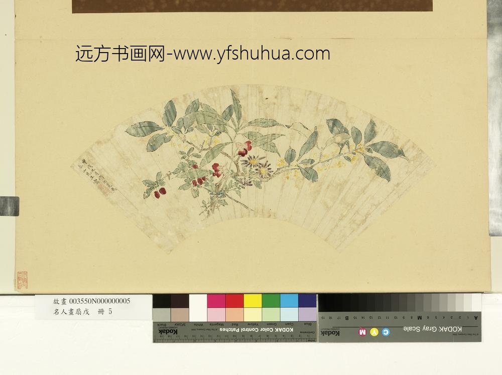 周之冕桂菊凤仙图-名人画扇(戊)册
