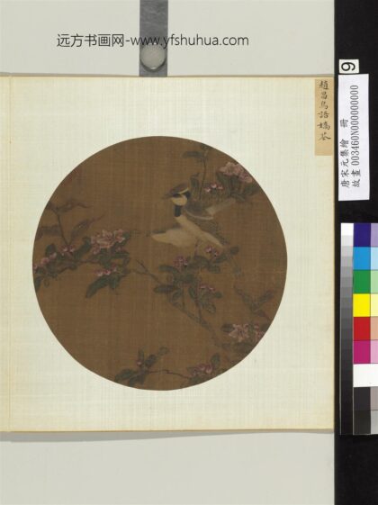 唐宋元集绘册宋赵昌鸟语娇花.jpg