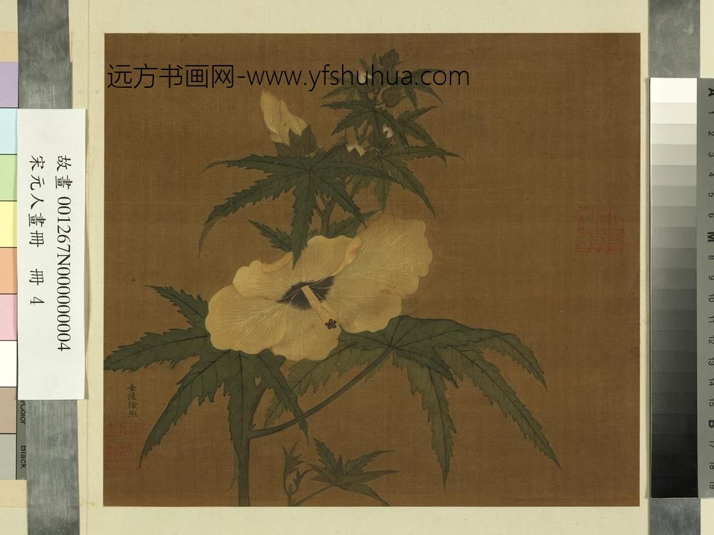 宋元人画册五代徐熙秋葵