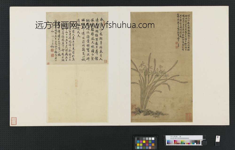 宋元集绘册元赵孟俯双钩水仙