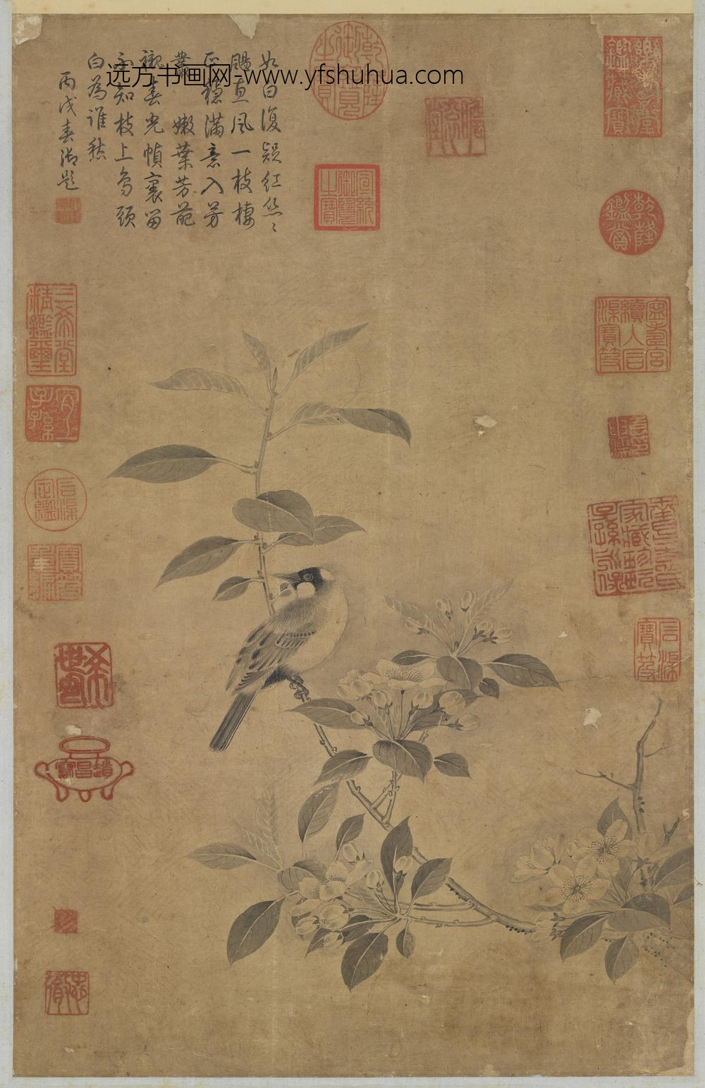 宋赵昌画花鸟轴