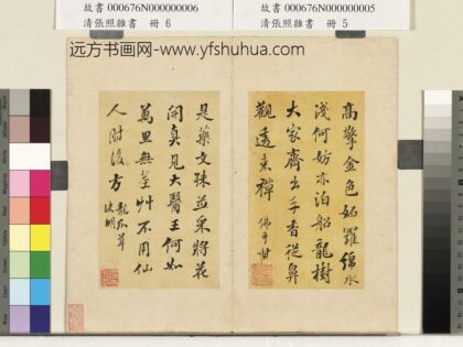 张照 杂书册 龙爪草决明.jpg