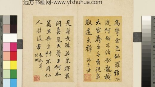 张照 杂书册 龙爪草决明.jpg