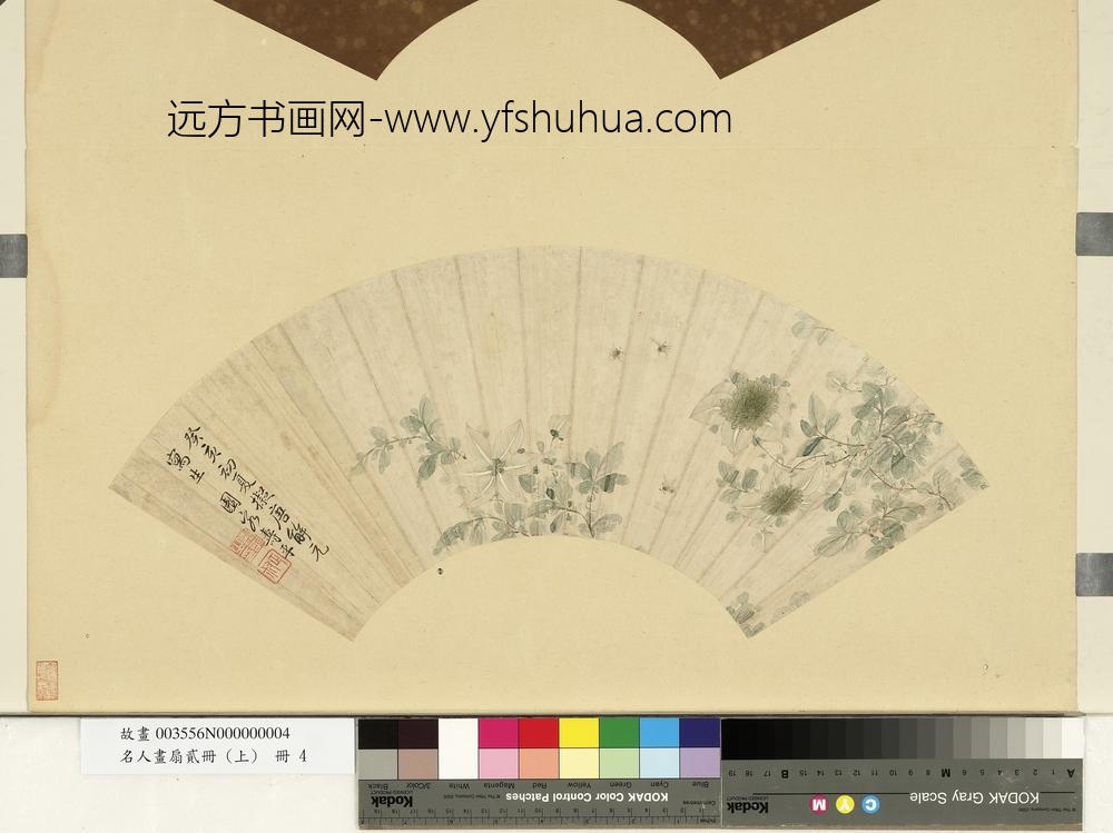 恽寿平西番莲图-名人画扇贰册(上)册