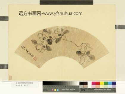 明人画扇册明周之冕栀子花.jpg