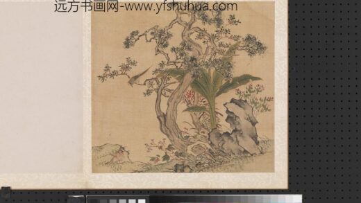 明周之冕写生册柏树芭蕉.jpg
