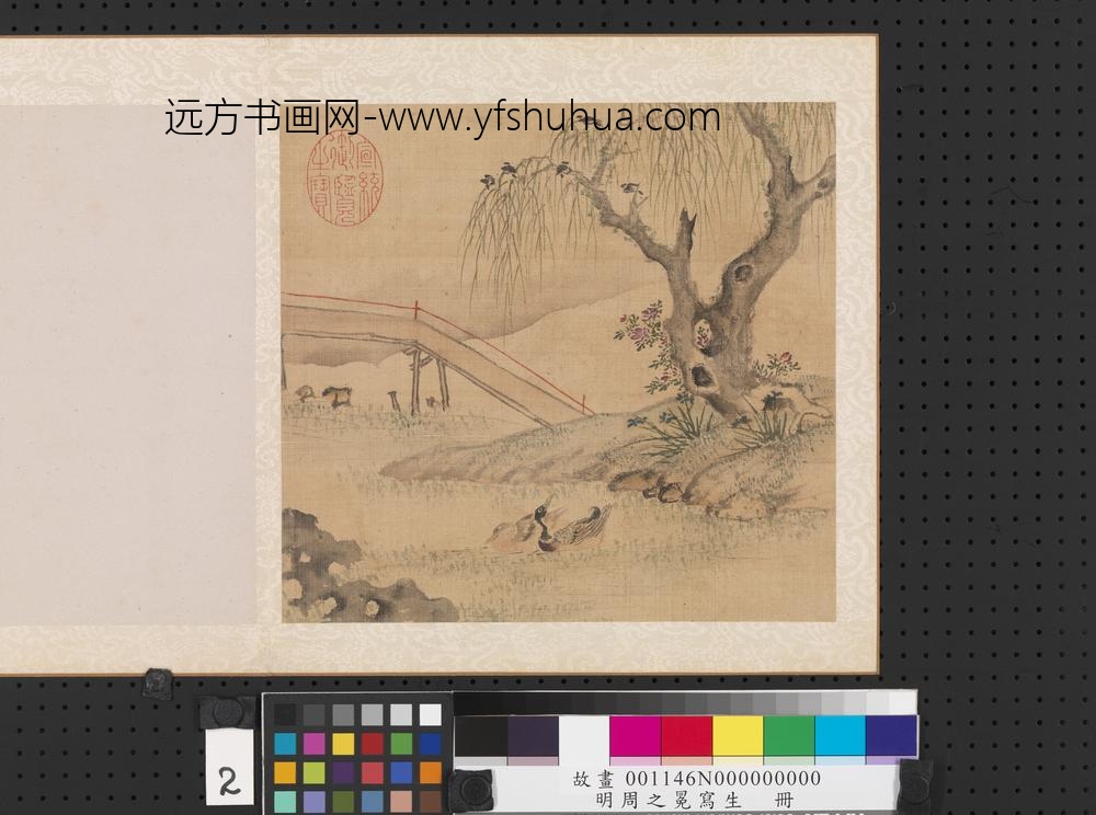 明周之冕写生册河塘戏鸭