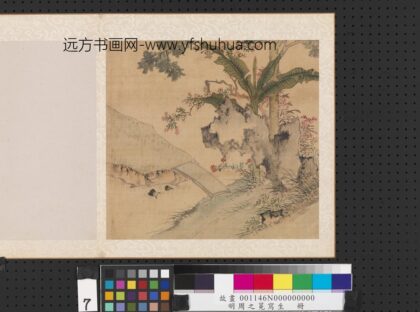 明周之冕写生册芭蕉湖石.jpg