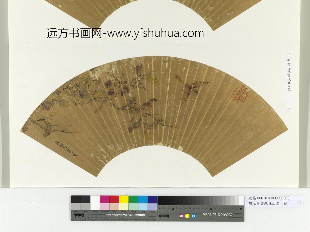 明周之冕画秋林山鸟册页
