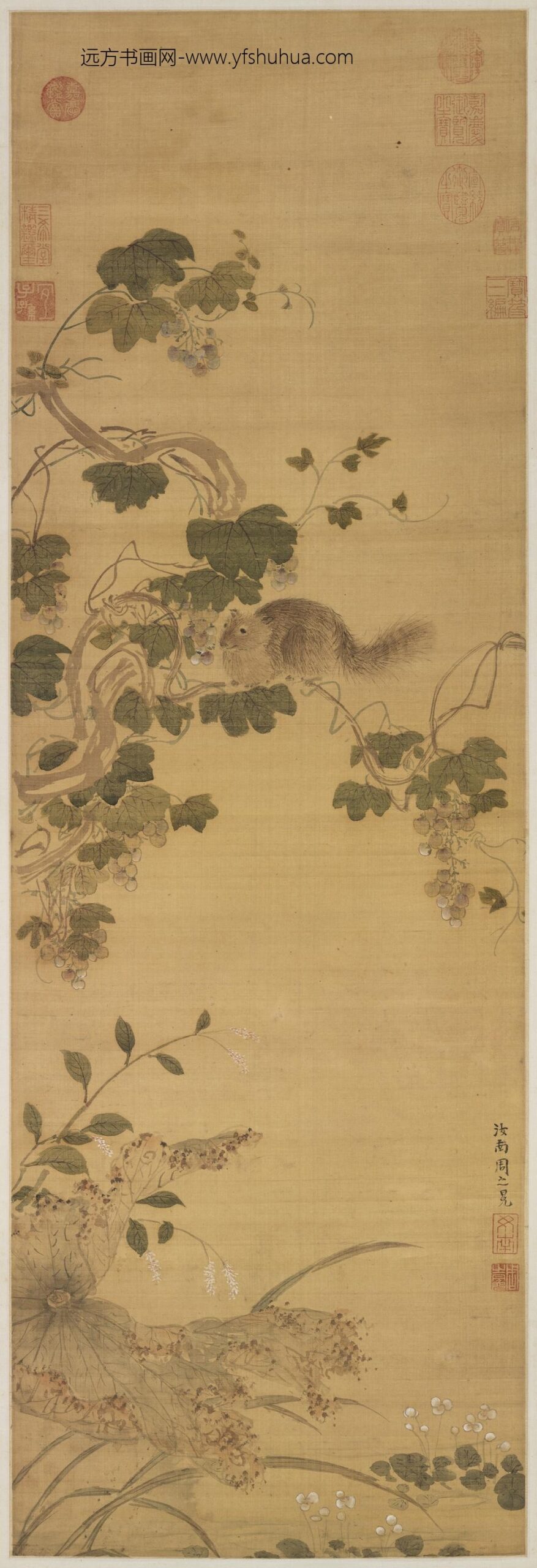 明周之冕画葡萄松鼠轴