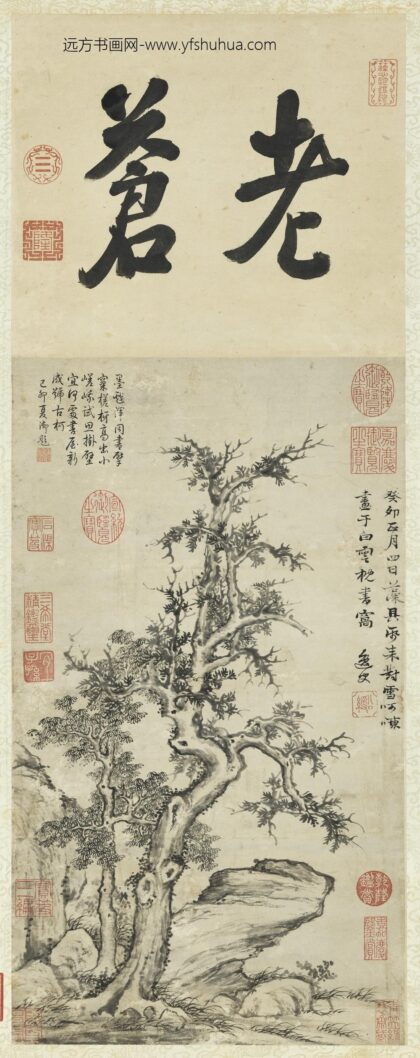 明姚绶树石清高宗御题轴.jpg