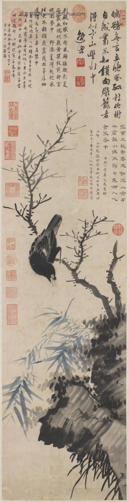 明姚绶画寒林鸜鹆轴.jpg