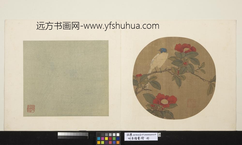 明宣德宝绘册寿带茶花