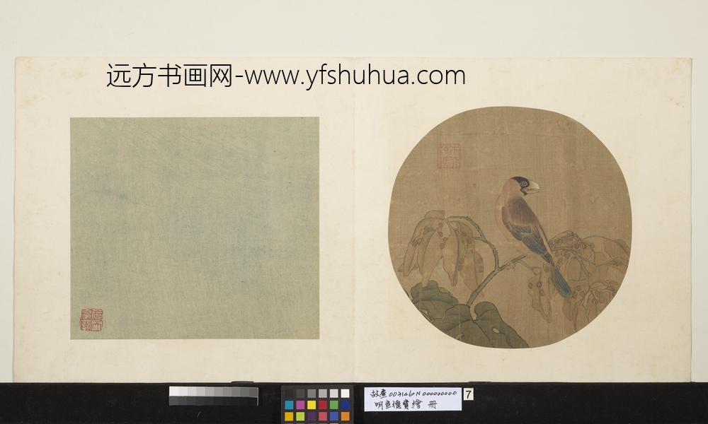 明宣德宝绘册桐实文鸟