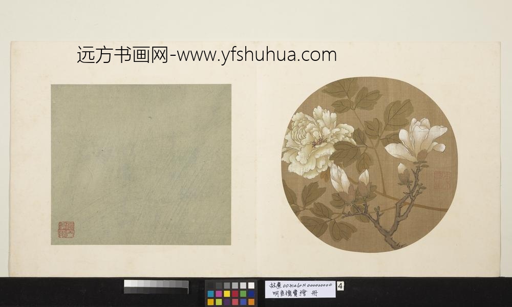 明宣德宝绘册玉兰牡丹