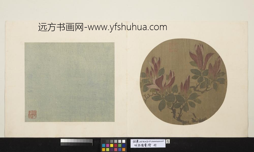 明宣德宝绘册辛夷花