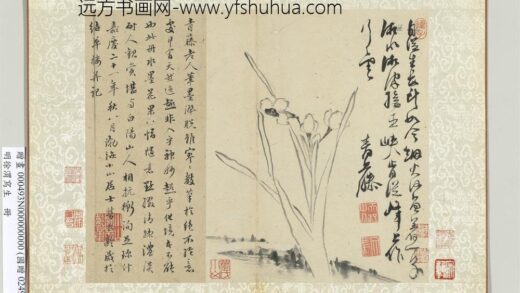 明徐渭写生册水墨画水仙.jpg