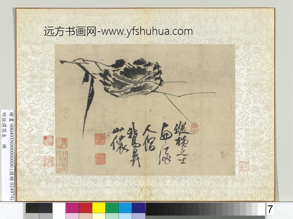 明徐渭写生册水墨画芦蟹