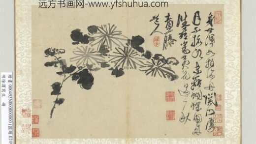 明徐渭写生册水墨画菊.jpg