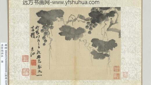 明徐渭写生册水墨画葡萄.jpg