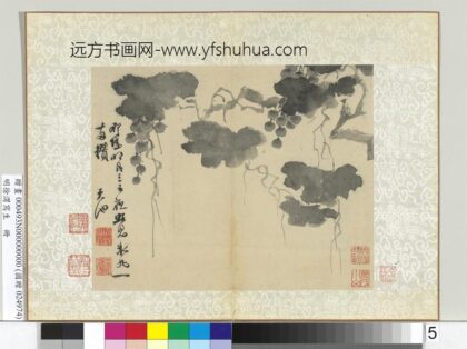 明徐渭写生册水墨画葡萄.jpg