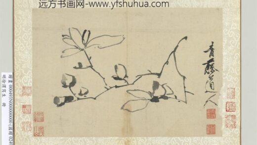 明徐渭写生册水墨画辛夷.jpg