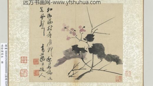 明徐渭写生册浅设色画海棠.jpg