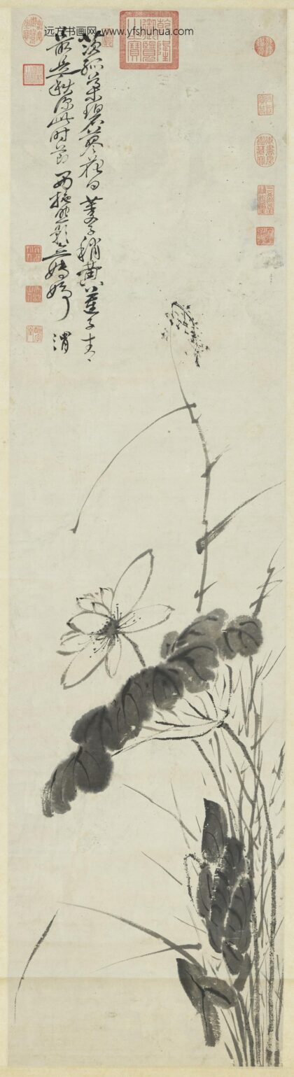 明徐渭荷花轴.jpg